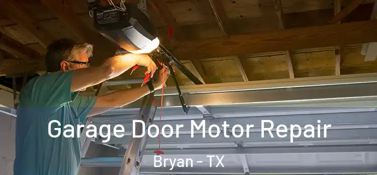  Garage Door Motor Repair Bryan - TX