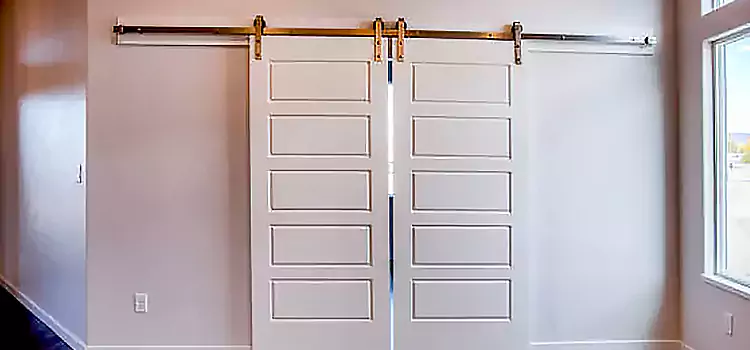 Glass Barn Door with Installation Hardware Kit Bryan
